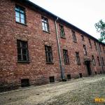 Auschwitz-Birkenau - Pozostałe, Polska - zdj. 9