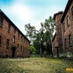 Auschwitz-Birkenau - Pozostałe, Polska - zdj. 8