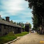Auschwitz-Birkenau - Pozostałe, Polska - zdj. 15