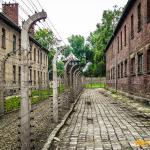 Auschwitz-Birkenau - Pozostałe, Polska - zdj. 2