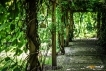 Podkarpacie: Arboretum w Bolestraszycach - Podkarpacie