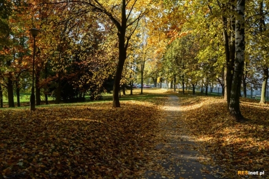 Barwy Jesieni. Spacer po Rzeszowie - Rzeszów, Krajobraz